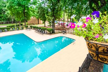 Beautiful sparkling pool with sundeck
